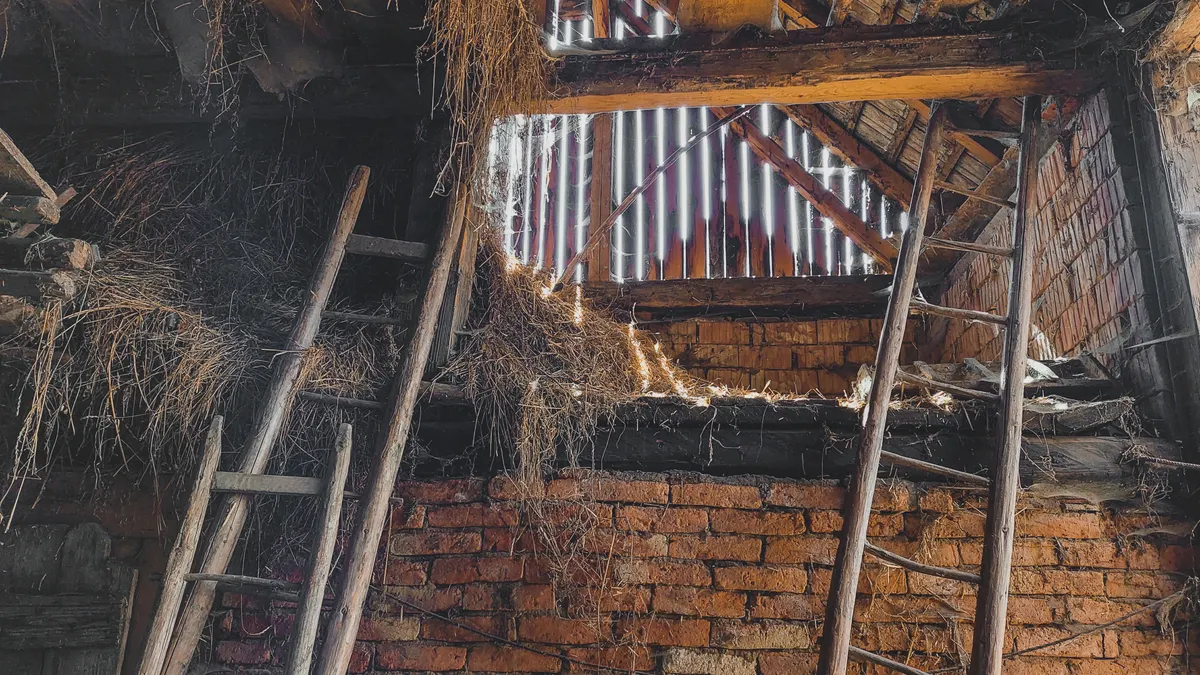 What Are Crawl Space Piers Made Of? old crawl space with brick wall and ladders